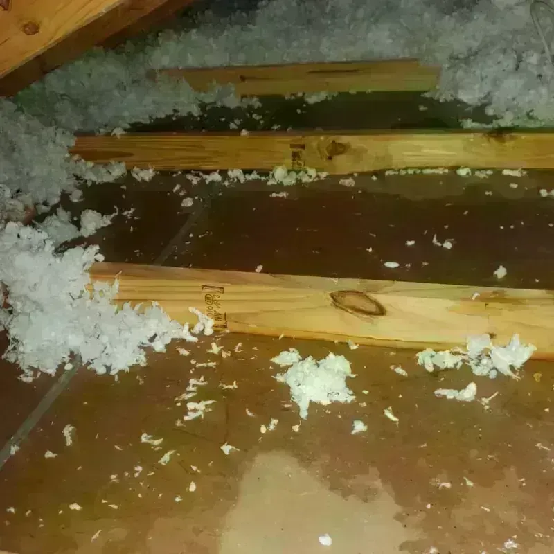 Attic Water Damage in Point Pleasant, NJ