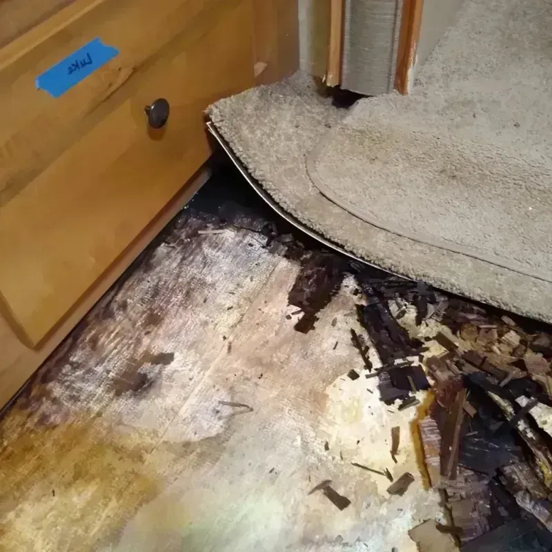 Wood Floor Water Damage in Point Pleasant, NJ